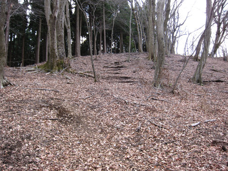 20200204hike (77)
